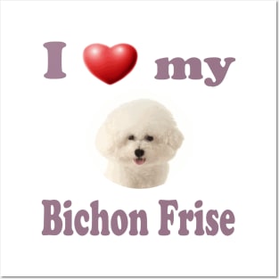 I Love My Bichon Frise Posters and Art